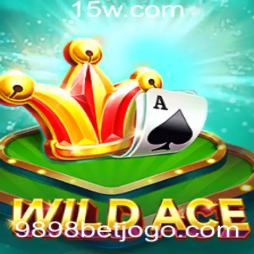 Explorando o Jogo WildAce: Descrição, Introdução e Regras
